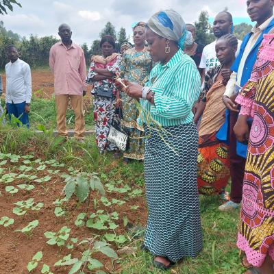 486468214 24088778767378696 8632278721977491443 N