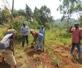 Projet AFESDI à Kabaré