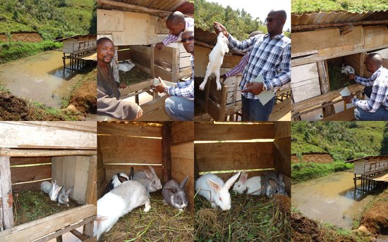 Projet AFESDI à Kabaré