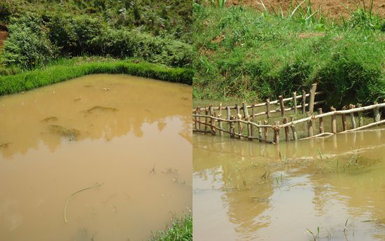 Projet AFESDI à Kabaré